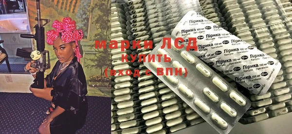 индика Алексин