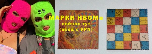 индика Алексин