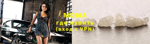 индика Алексин