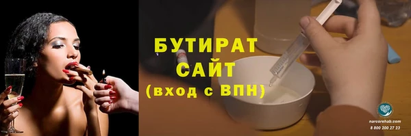 индика Алексин