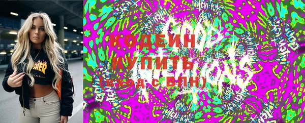 индика Алексин