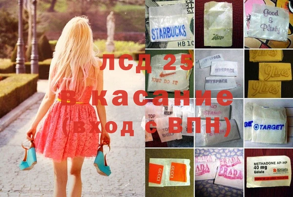 индика Алексин