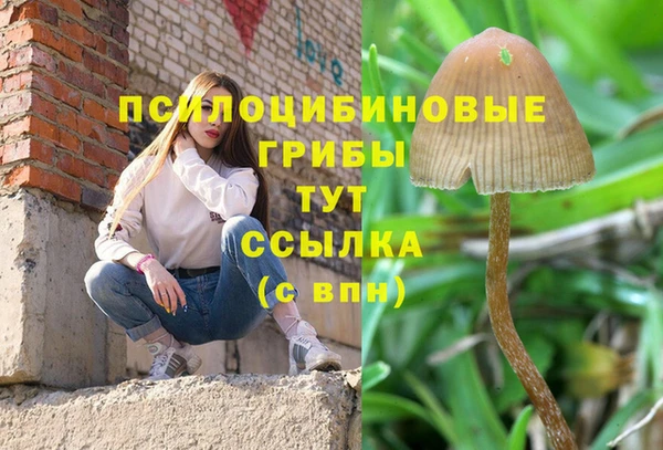 мдпв Алзамай