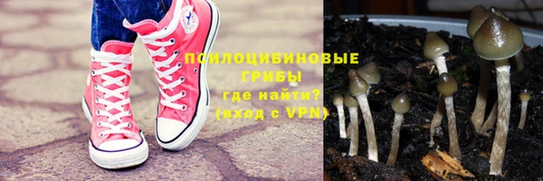 дживик Алексеевка